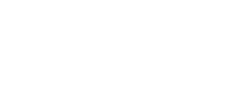 danish crown professional