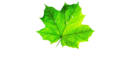PNG Datei-Teinacher_Logo_negativ_RGB_72dpi
